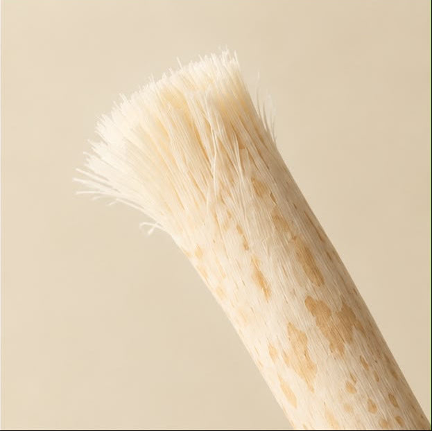 Traditional Miswak